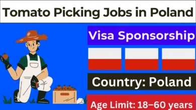 Tomato Picking Jobs in Poland with Visa Sponsorship