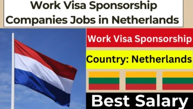 Work Visa Sponsorship Companies in Netherlands 2024