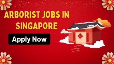 Arborist Jobs in Singapore 2024