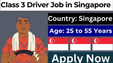 Class 3 Driver Job in Singapore For Foreigners