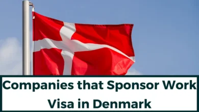 Companies that Sponsor Work Visa in Denmark