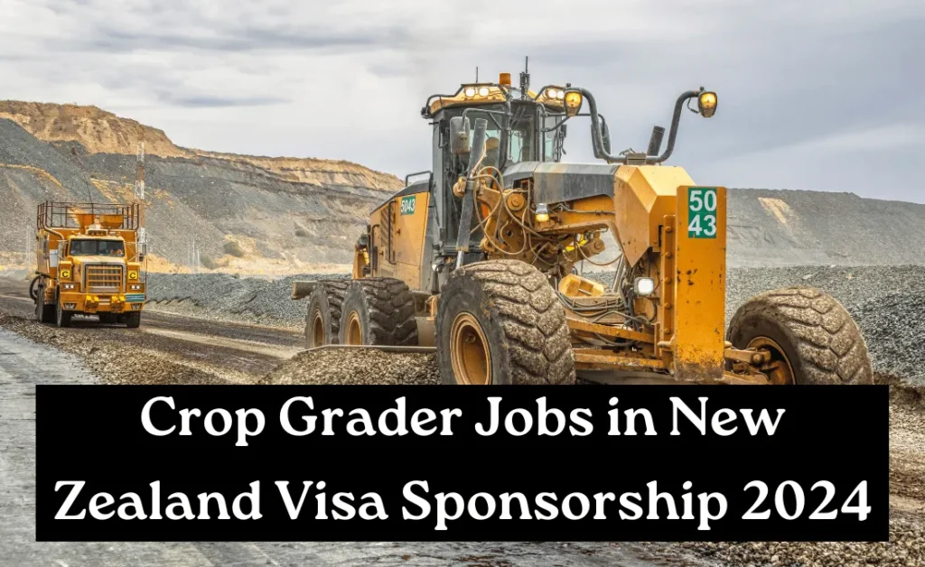 Crop Grader Jobs in New Zealand Visa Sponsorship 2024