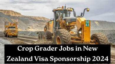 Crop Grader Jobs in New Zealand Visa Sponsorship 2024