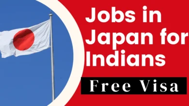 Jobs in Japan for Indians with Free Visa