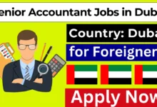 Senior Accountant Jobs in Dubai for Foreigners 2024