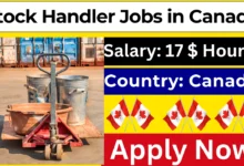 Stock Handler Jobs in Canada 2024