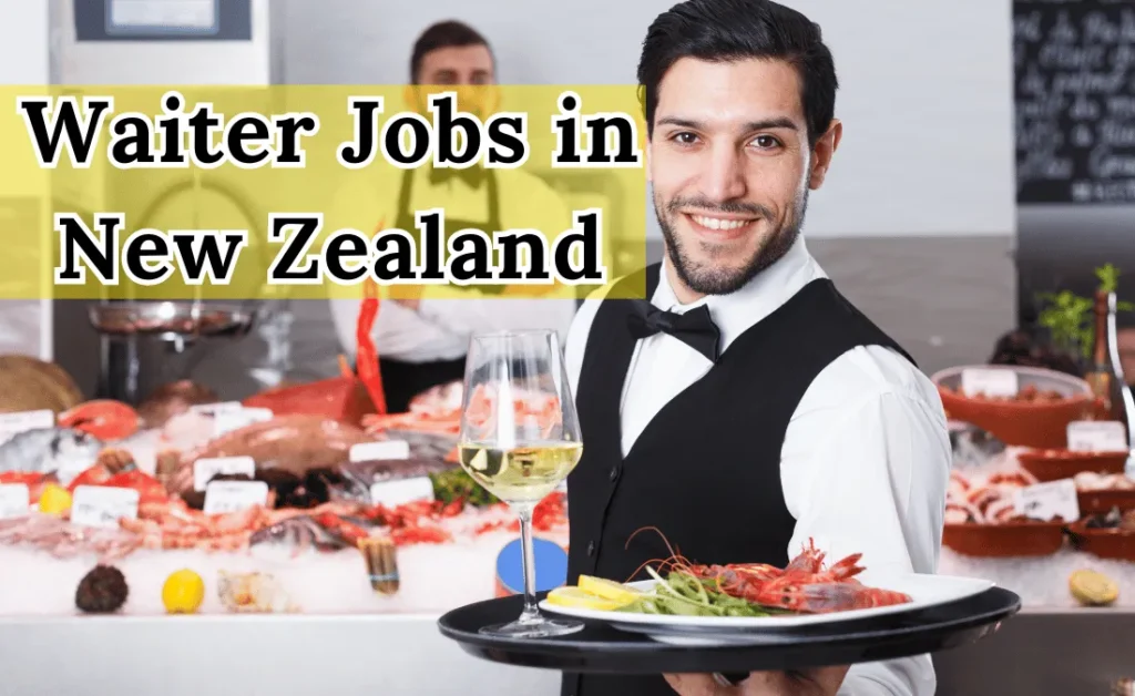 Waiter Jobs in New Zealand for Foreigners 2024