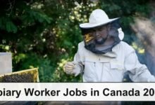 Apiary Worker Jobs in Canada 2026 with Visa Sponsorship