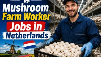 Mushroom Farm Worker Jobs in Netherlands with Visa Sponsorship 2026