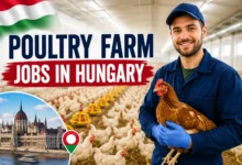 Poultry Farm Jobs in Hungary with Visa Sponsorship 2026