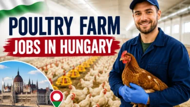 Poultry Farm Jobs in Hungary with Visa Sponsorship 2026