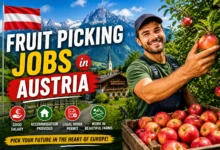 Fruit Picking Jobs in Austria with Visa Sponsorship 2026