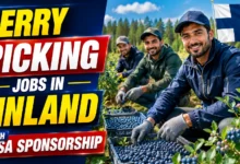 Berry Picking Jobs in Finland with Visa Sponsorship 2026