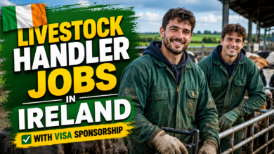 Livestock Handler Jobs in Ireland with Visa Sponsorship 2026