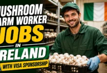 Mushroom Farm Worker Jobs in Ireland with Visa Sponsorship 2026