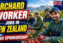 Orchard Worker Jobs in New Zealand with Visa Sponsorship 2026