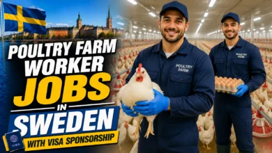 Poultry Farm Worker Jobs in Sweden with Visa Sponsorship 2026