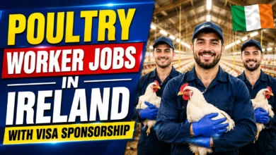Poultry Worker Jobs in Ireland with Visa Sponsorship 2026